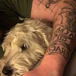 Shaun Allan - @shaunallan24 - Instagram