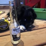 Shaun Armstrong - @shaun_armstrong_ - Instagram