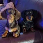 ShaunArmstrong NeilBannon - @shaunarmstrongneilbannon - Instagram