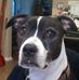 Shaun Beals - Facebook