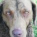 Shaun Beardsley - Facebook