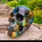 Shawn Bernard - @shawn.bernard.10 - Instagram