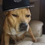 Shaun Hickman - @shaun_besty9 - Instagram