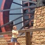 Shawn Best - @shawn.best - Instagram