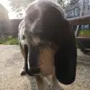 shaunbottrill595 - @shaunbottrill595 - TikTok