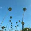 Shaunbotts - @shaunbotts - TikTok