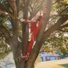 shaun_brady_ - @shaun_brady_ - TikTok