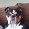 shaunbray28 - @shaunbray28 - TikTok