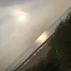 Shaun Bridge - @shaunbridge7 - TikTok