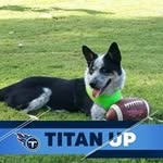 Shaun Bridges - @shaun.bridges.73 - Instagram