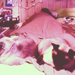 shawn brophy - @shawnbrophy1965 - Instagram