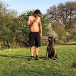 Shaun Browne - @k9_academy_coventry_ - Instagram