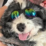 Shaun Calhoun - @shaun.calhoun.54 - Instagram