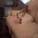 Daly 32 - @shaun.daly.982 - Instagram