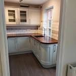 Shaun Daly - @procarpentry21 - Instagram