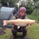 Shaun Daly - @daly1735 - Instagram