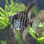 Shaun Davidson - @shaund5100 - Instagram