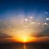 Shaun Dobson - @shaun.dobson8 - TikTok