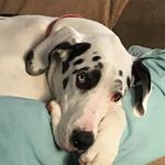 Shaun Erickson - @serickson25 - Instagram