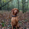 Shaun Etherington - @shaun_100204 - TikTok