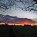 Shaun Etherington - Facebook