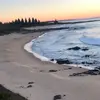 Shaun Fitzpatrick  - @shaun2301 - TikTok