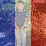 Shaun Galbraith - @galbraithshaun - Instagram