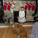 Shawn Galbraith - @shawn_galbraith - Instagram