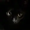 shaungamble8 - @shaun.gamble - TikTok