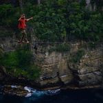 Shaun Green - @island_habitat - Instagram