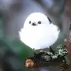 ShaunGutierrezCBbIX6 - @shaungutierrezcbb - TikTok
