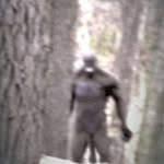 Shaun Peter Hester - @shaunhester499 - Instagram