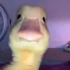 Shaun Hicks665 - @shaunhicks665 - TikTok