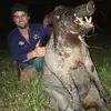 Shaun Hicks - @shaunhicks8 - TikTok