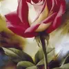 Shaun Jacob - @shaun.jacob1 - TikTok