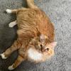 Shaun Jacobs - @shaun.smells - TikTok