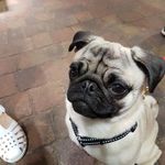Shaun - @shaun_jimenez - Instagram