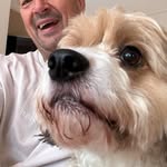 Shaun Joyce - @shaunjoyce9836 - Instagram