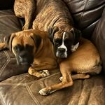 Shaun Key - @skey1977 - Instagram