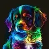 Shaun Lawrence - @shaun.lawrence61 - TikTok