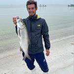 Shaun Leonard - @shaun__leonard - Instagram