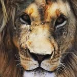 Shaun M. Lyons - @s.blaze310 - Instagram