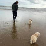 Shaun Wilson-Marritt - @shaunmarritt - Instagram
