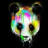 Shaun McGhee - @shaunmcghee - TikTok
