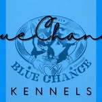 Shawn McGhee - @officialbluechancekennels - Instagram