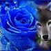 Shaun Munson - Facebook