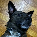 Shawn Odom - Facebook