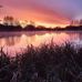 Shaun Pearson - Facebook