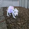 Shaunta Pearson - @shaunta.pearson - TikTok