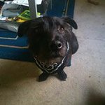 Shaun Peet - @shaunpeet - Instagram